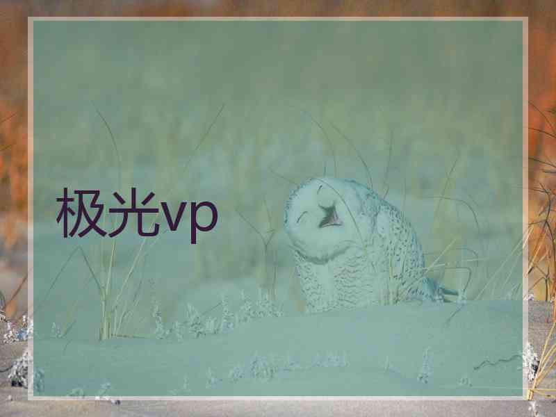 极光vp